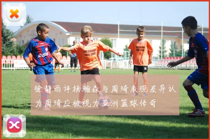 徐静雨评杨瀚森与周琦表现差异认为周琦应被视为亚洲篮球传奇