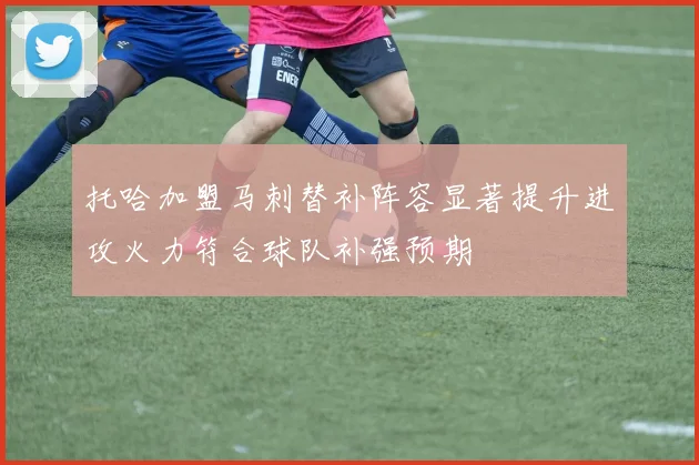 托哈加盟马刺替补阵容显著提升进攻火力符合球队补强预期