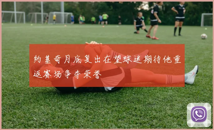 约基奇月底复出在望球迷期待他重返赛场争夺荣誉