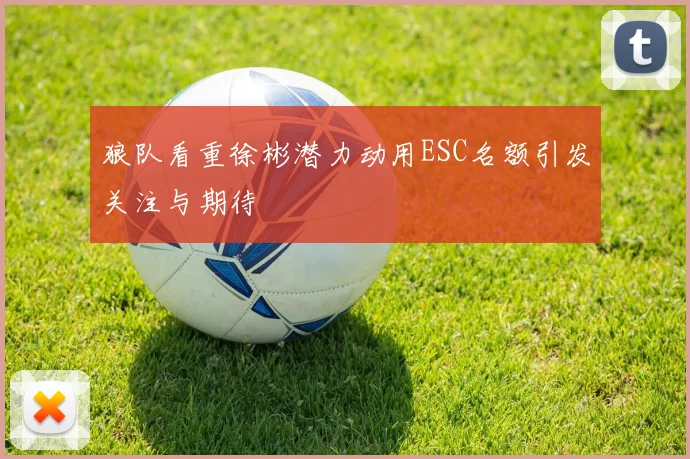 狼队看重徐彬潜力动用ESC名额引发关注与期待